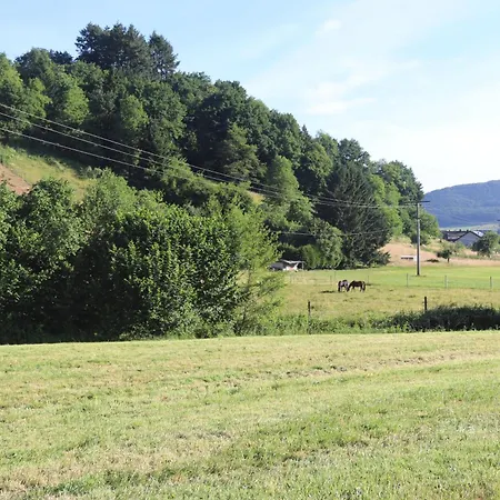 Braun - Rebbergblick Seelbach (Baden-Wurttemberg)